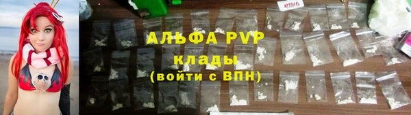 spice Аркадак