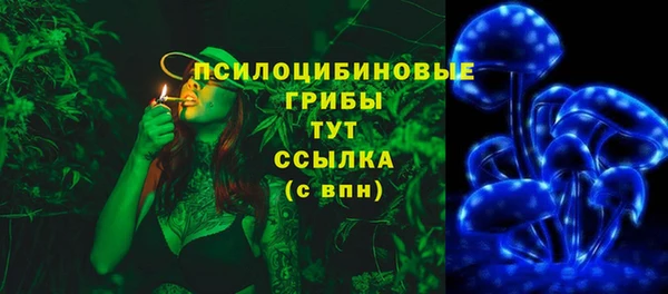 spice Аркадак
