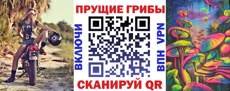 Галлюциногенные грибы мицелий  Бронницы 